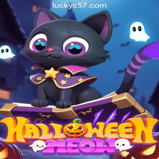 Delve into the Enchanting World of HalloweenMeow: A Spooky Casino Adventure